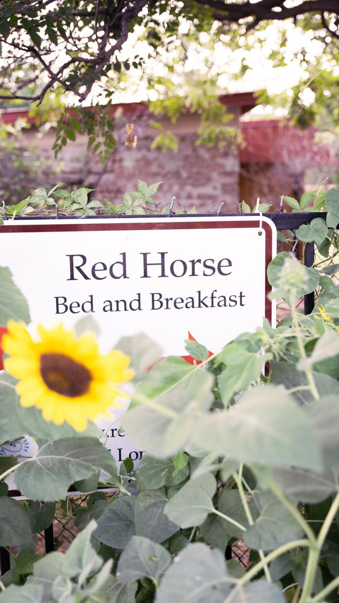 Red Horse Bed And Breakfast Albuquerque Exteriör bild